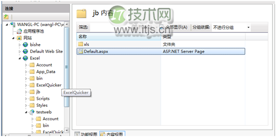 IIS下将报表打印到Excel