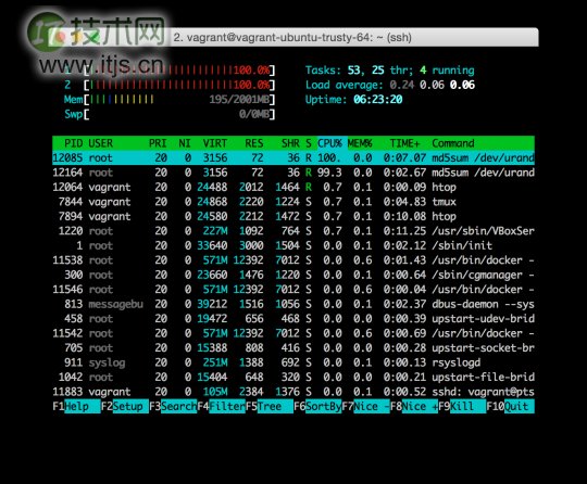 在 Ubuntu 14.04 下使用 cgroups 和 Docker