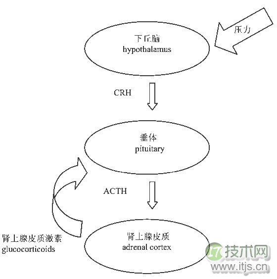 22:00-6:00睡觉真的比2:00-10:00更有利健康吗？