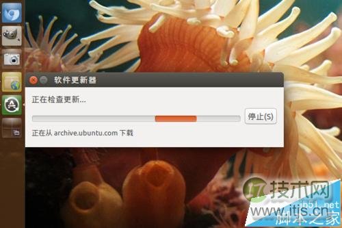 Ubuntu系统怎么手动进行更新升级?